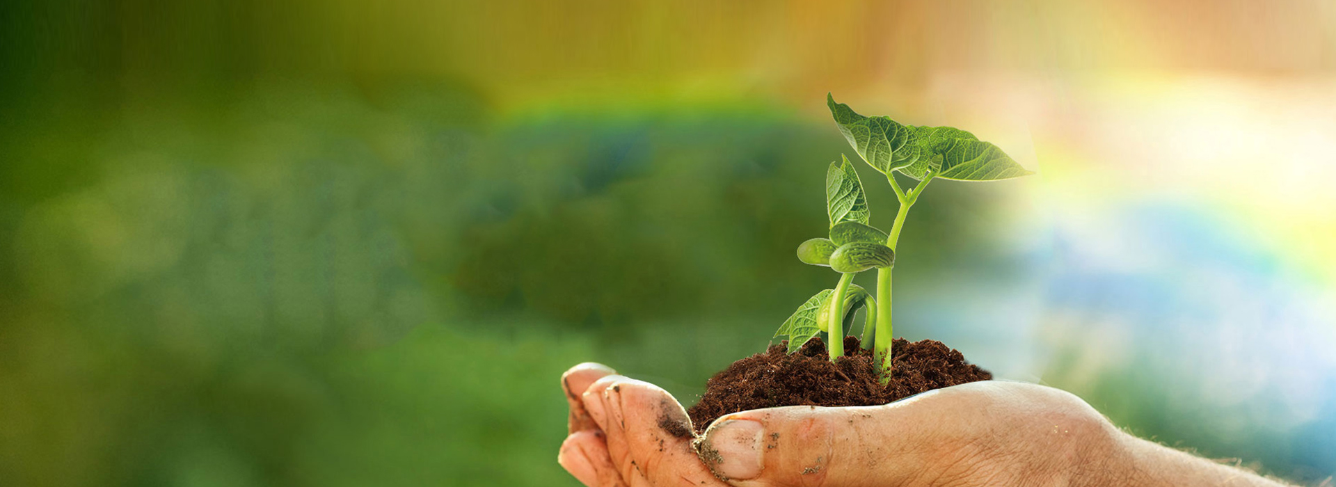 z6com尊龙凯-(中国)公司官方网站