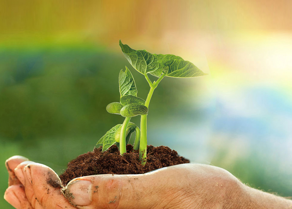 z6com尊龙凯-(中国)公司官方网站