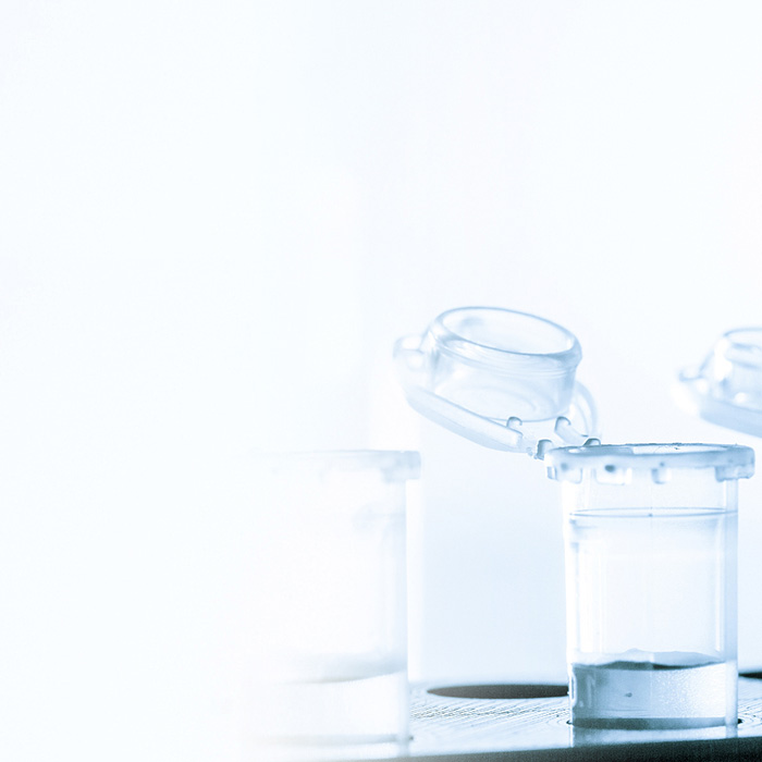 z6com������-(�й�)��˾�ٷ���վ