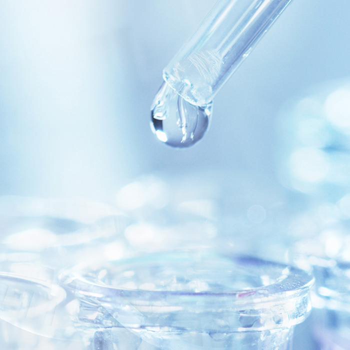 z6com������-(�й�)��˾�ٷ���վ