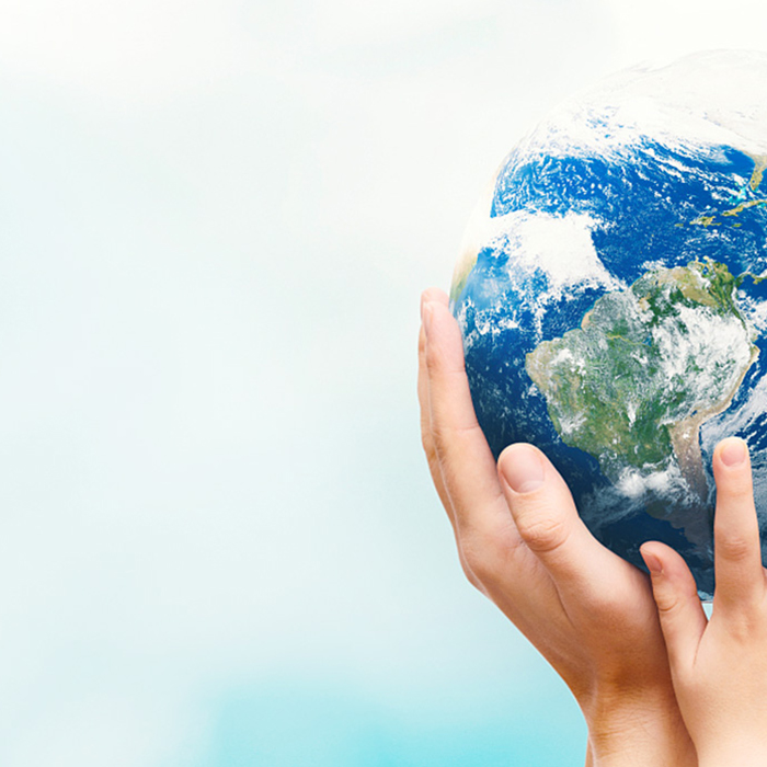 z6com������-(�й�)��˾�ٷ���վ